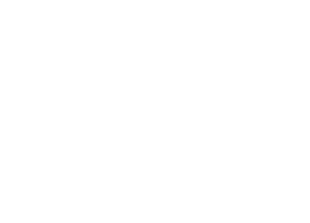 Download Data Sheet 1